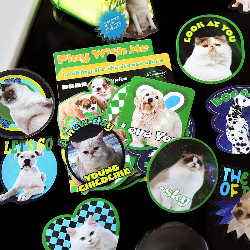 Letter Lovers PET Big Sticker Pack Let's Play with Me Series of Creative Hand Account Decorative Stickers 4 Styles